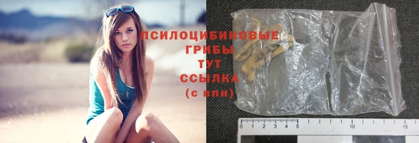 стаф Новокубанск