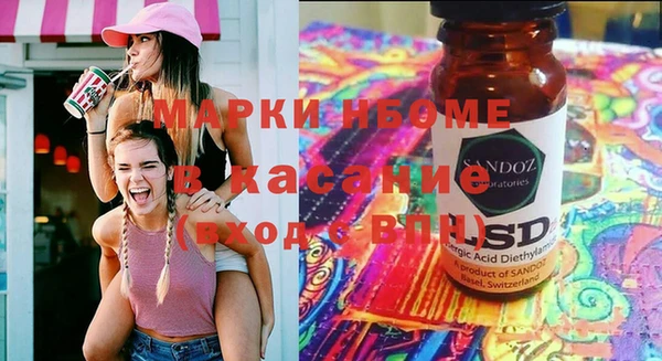 стаф Новокубанск