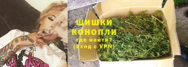 стаф Новокубанск