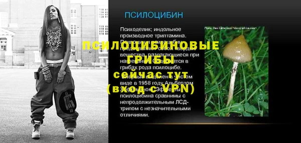 mdma Новодвинск