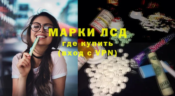стаф Новокубанск