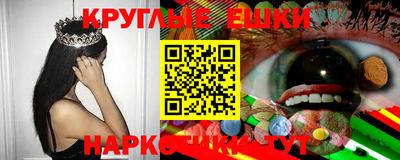 дмт Будённовск