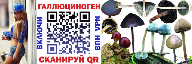 мега как зайти  Прохладный  Псилоцибиновые грибы MAGIC MUSHROOMS 