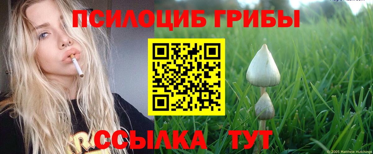 Прохладный  Псилоцибиновые грибы Magic Shrooms  Вход с VPN 