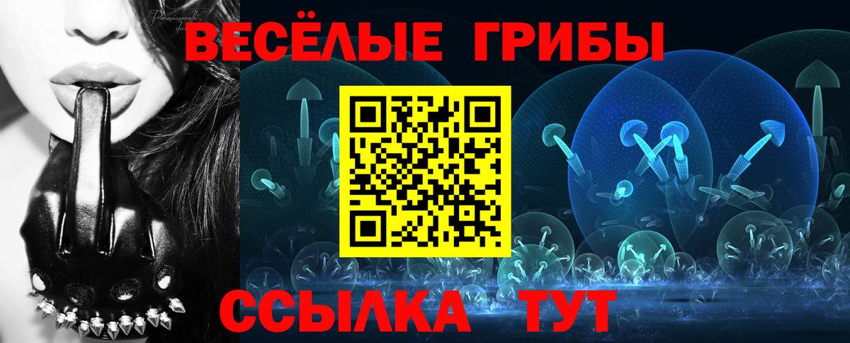 Галлюциногенные грибы Cubensis Прохладный