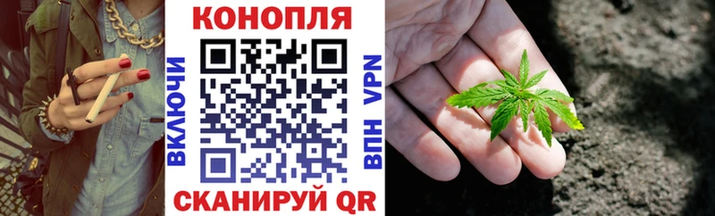 Каннабис Amnesia  Прохладный 