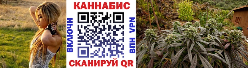 Бошки марихуана план Прохладный